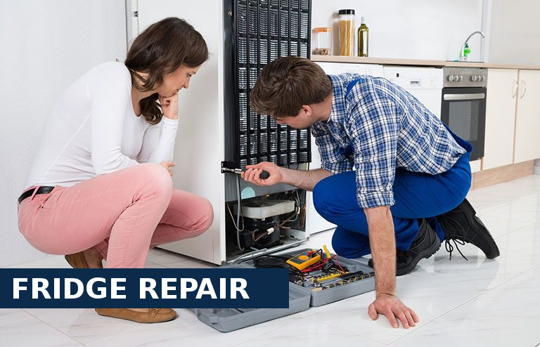 Fridge Repair Darenth